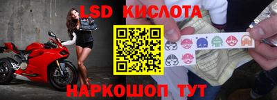 СК Бугуруслан
