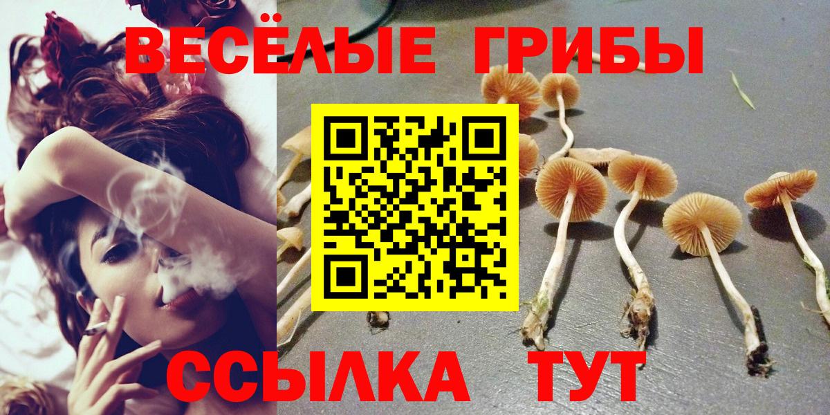 Усть-Джегута  Псилоцибиновые грибы Magic Shrooms  Вход с VPN  Псилоцибиновые грибы MAGIC MUSHROOMS 